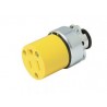 Contacto blindado con abrazadera aterrizado 15A 127V Surtek
