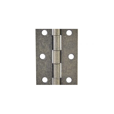 Bisagra alargada lat ant 4″ Lock